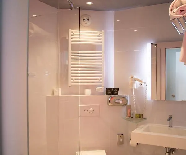 Colmar Hotel Hotel 3*