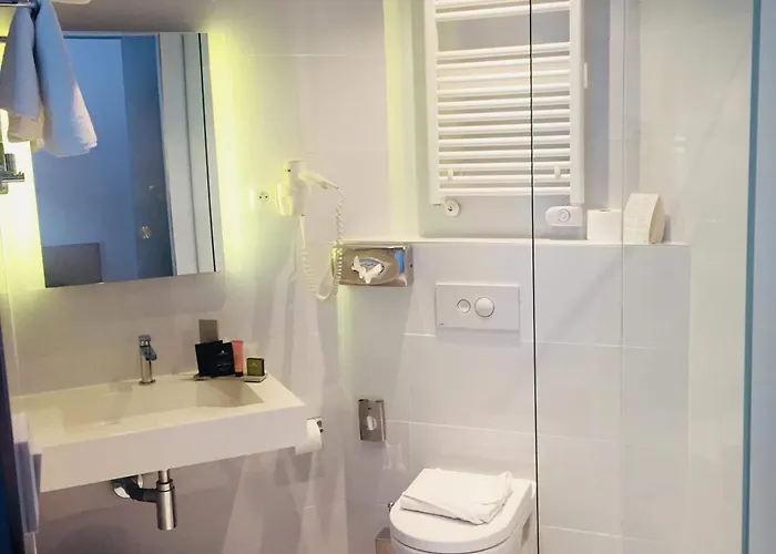 Colmar Hotel Hotel 3*