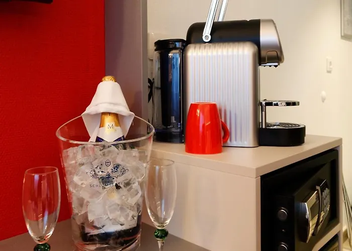 Colmar Hotel Hotel 3*